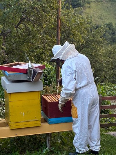 Fahrudin Ibrišimović's apiary, Mijakovići, June 2026