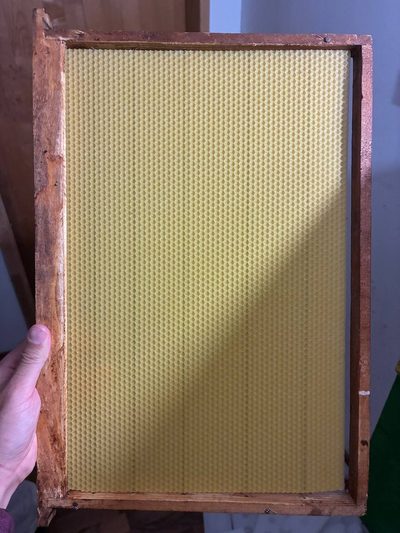Fahrudin Ibrišimović's apiary, Mijakovići, June 2026