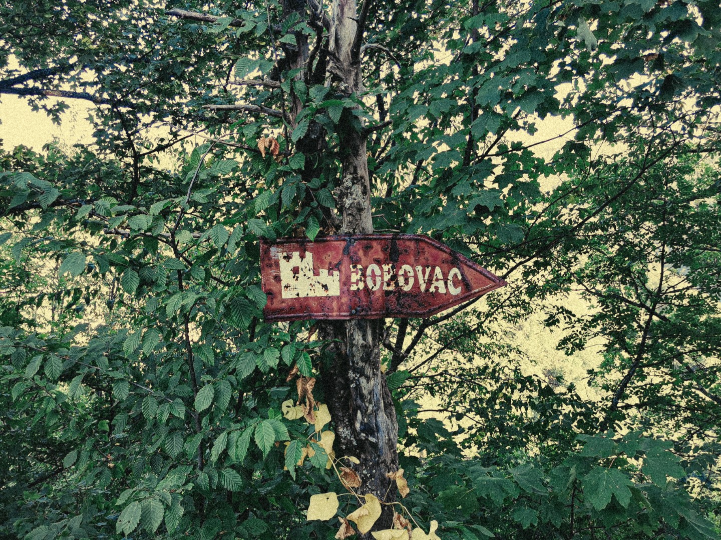 Bobovac fortress
