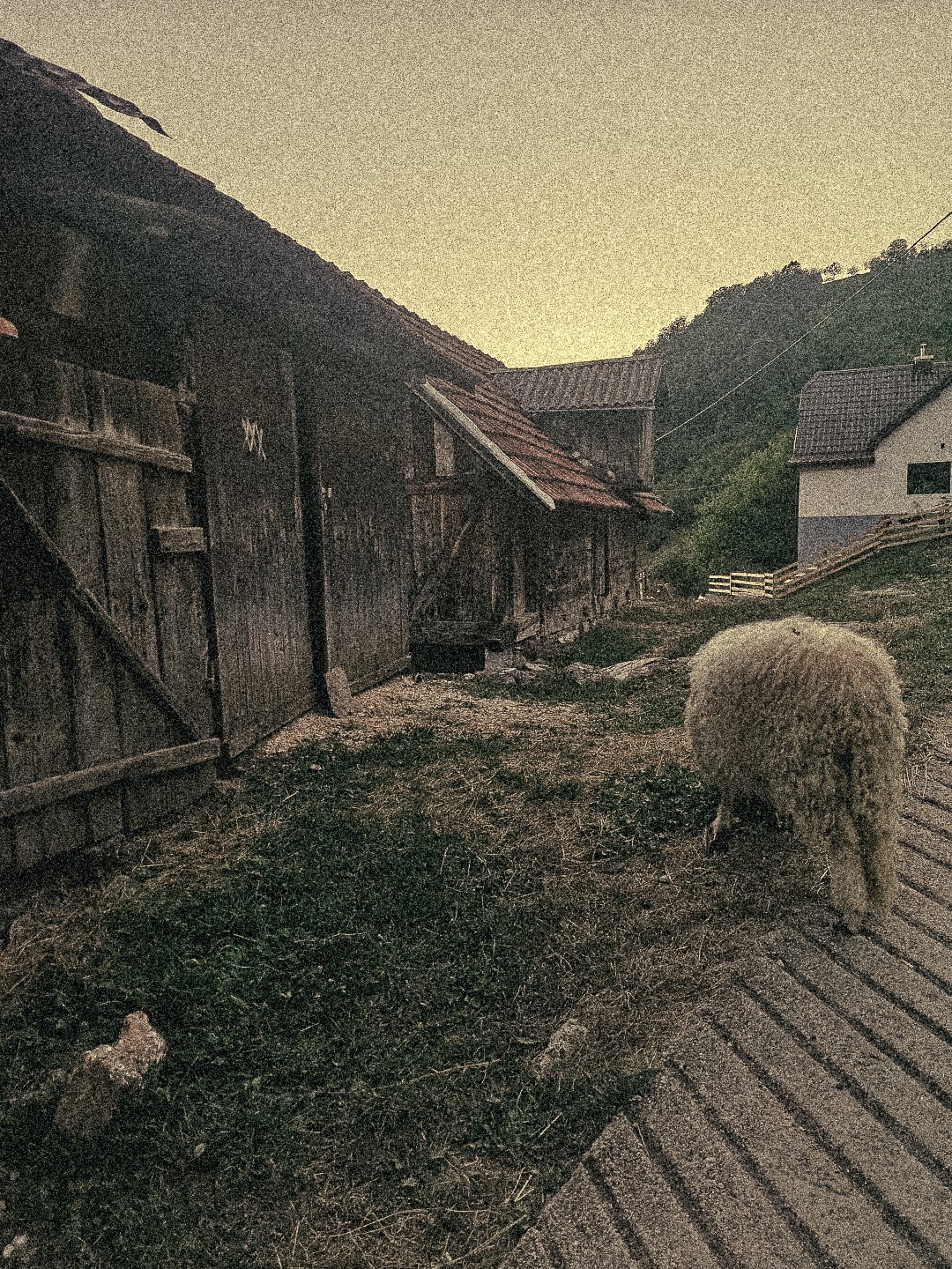 Through the village