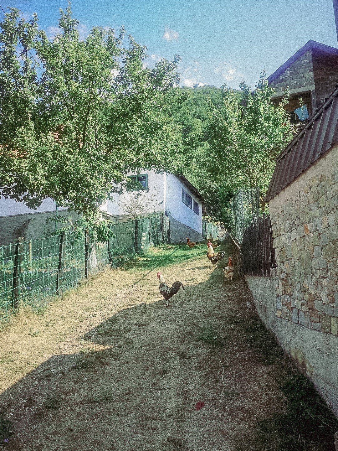 Through the village
