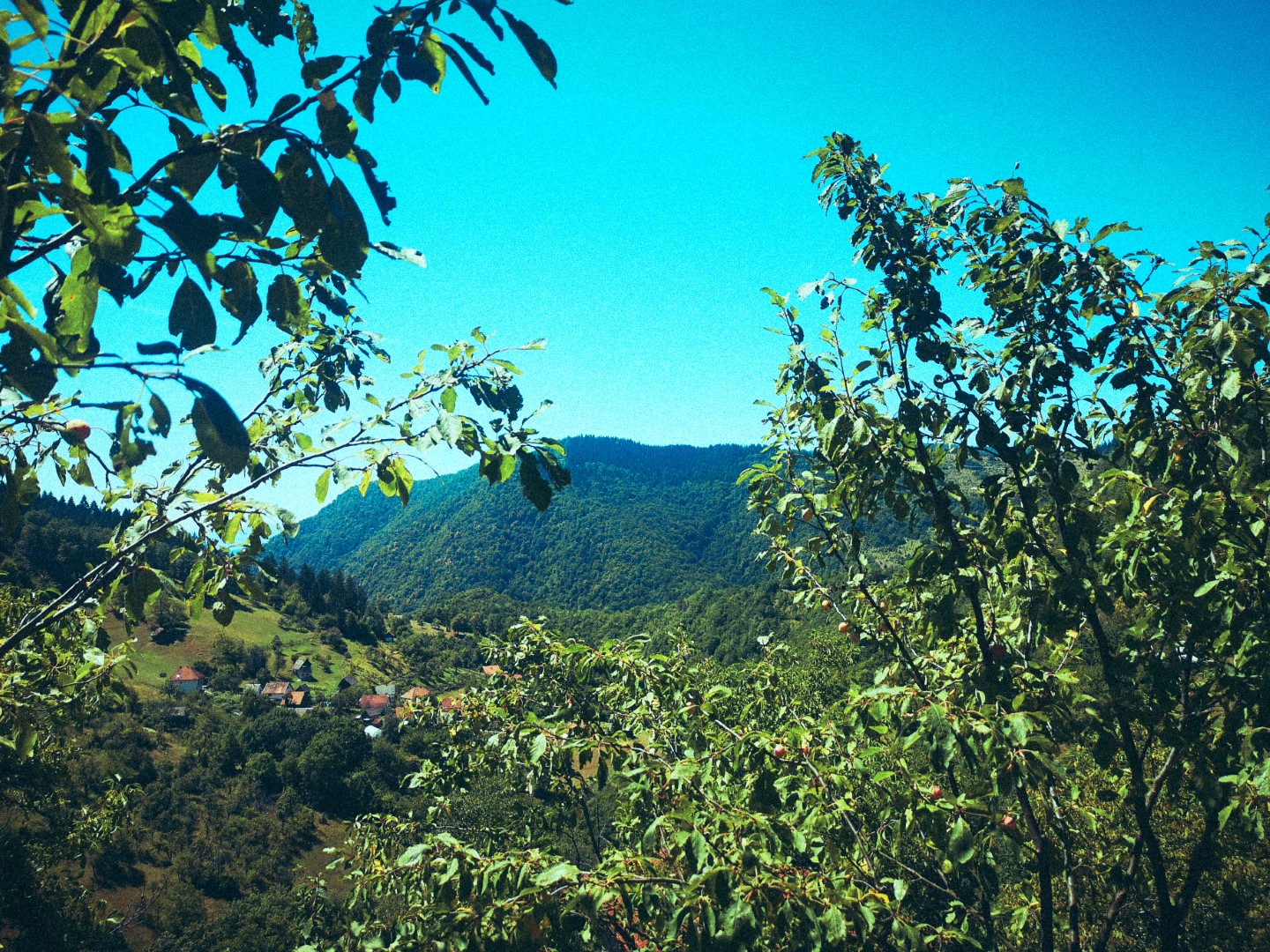 View of Mijakovići