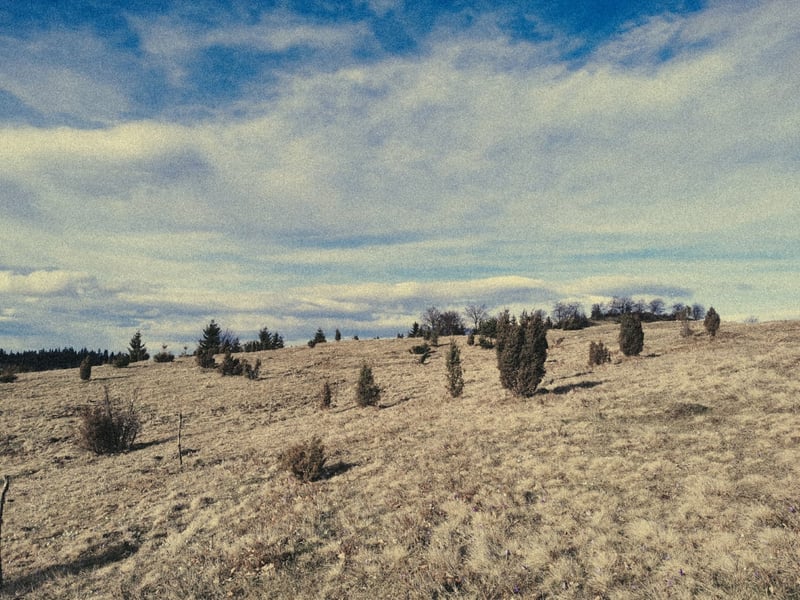 Mount Perun in March