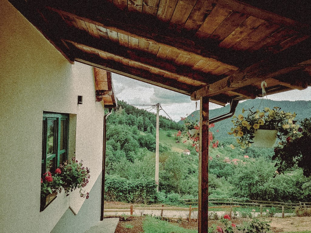 The house