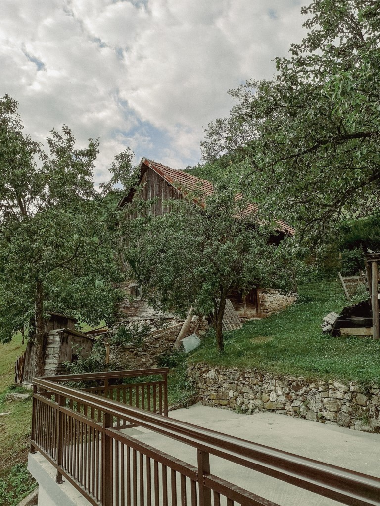 The house
