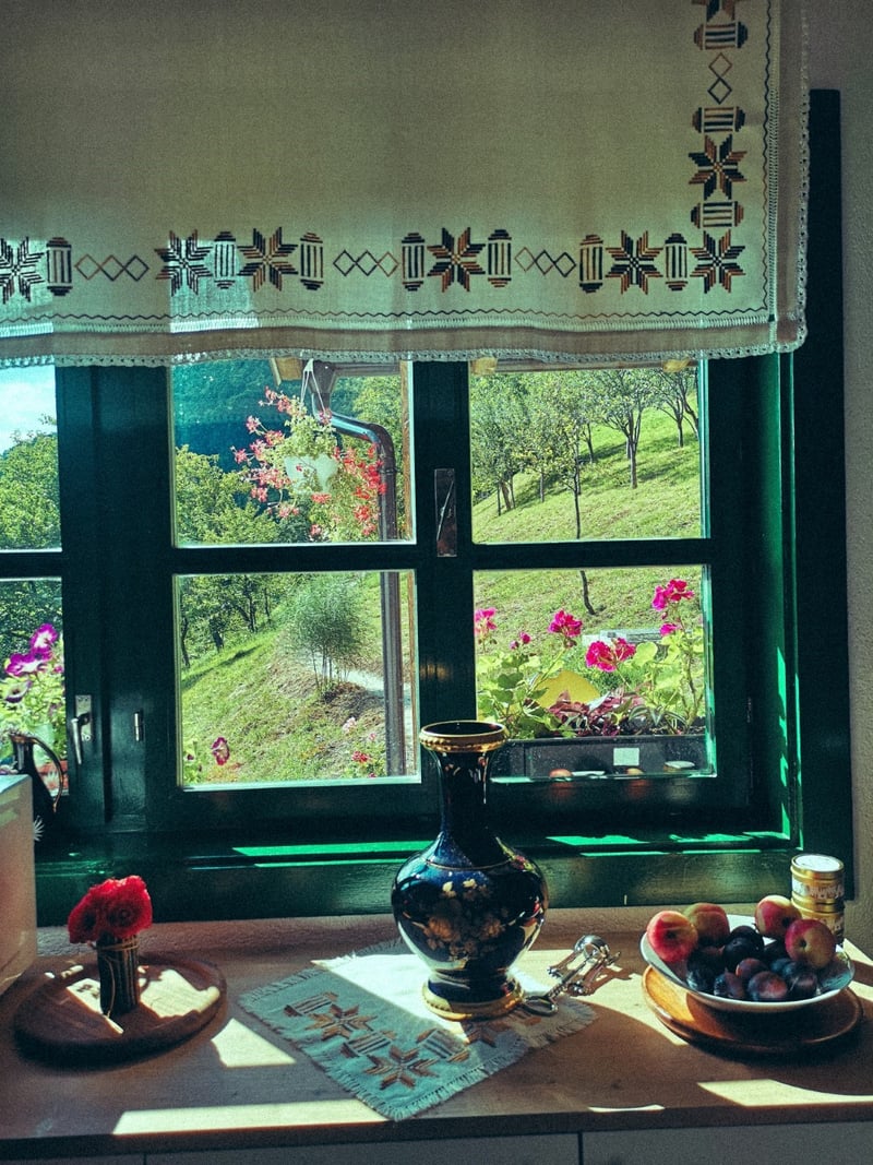 View from the kitchen