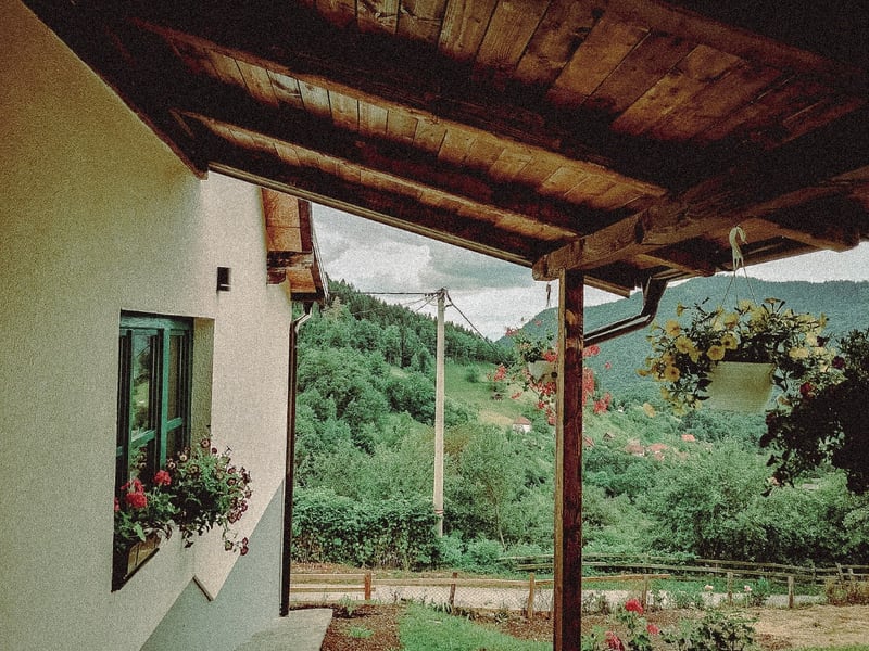 The house and the view