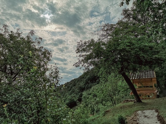 Outside