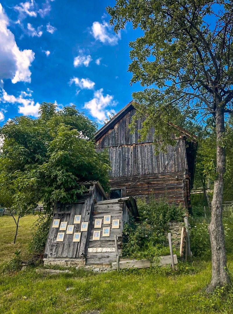 Distant Relatives, prints hung on the outbuilding in the yard