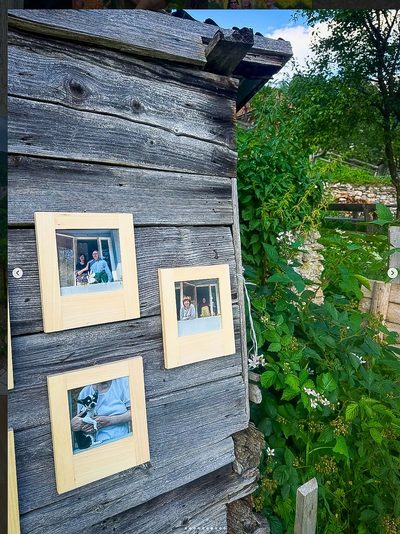 On the log wall