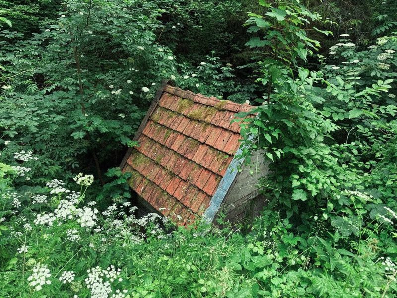 Mijakovići in June