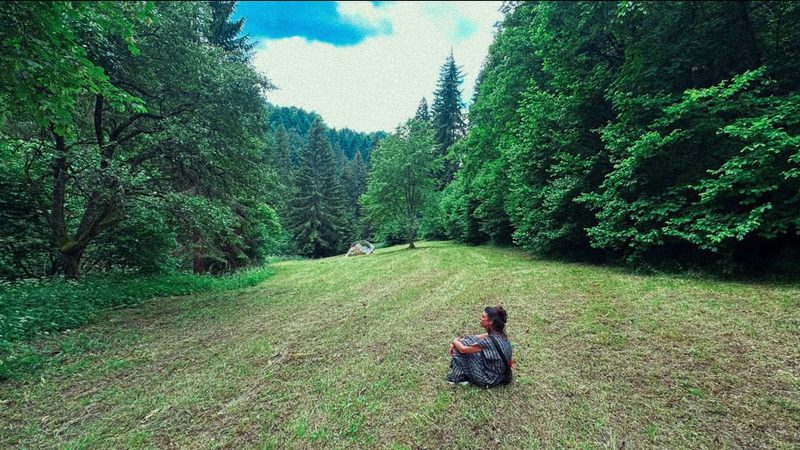 Dvonoćje II · 26, the meadow at the edge of the forest