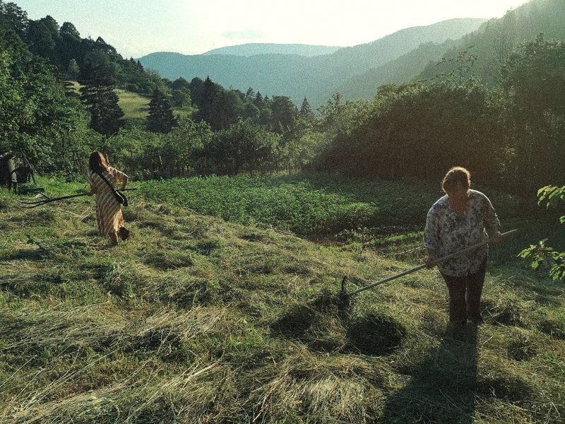 Mowing at Bobovište · 19 June 2026