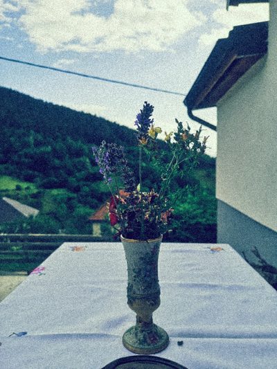 TEREN_SЛОЈЕVИ⁰⁰¹ · 1