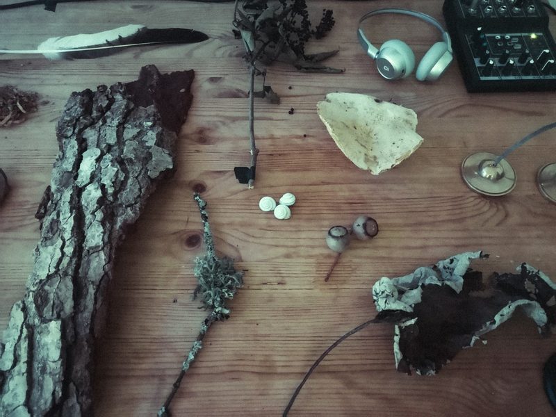 Overflow-Water: Second Listening · work in progress · Mijakovići, July 2026